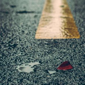 帅老头口交老头互吃
