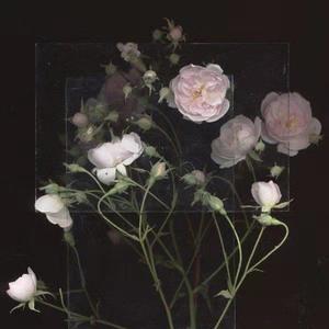 帅老头口交老头互吃
